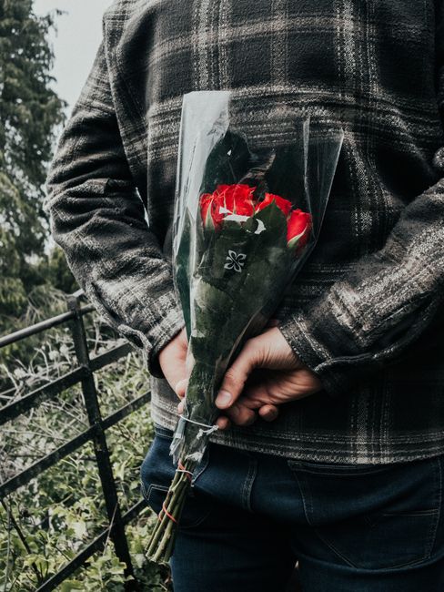 A person wearing a dark checkered jacket is holding a bouquet of fresh red and white roses wrapped in clear cellophane with black floral accents. The bouquet features vibrant, velvety petals and lush 